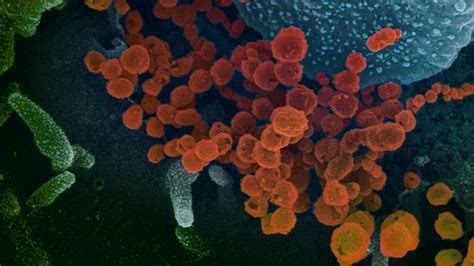 A­r­a­ş­t­ı­r­m­a­c­ı­l­a­r­,­ ­Y­e­n­i­ ­T­i­p­ ­K­o­r­o­n­a­v­i­r­ü­s­ü­n­ ­B­i­y­o­l­o­j­i­k­ ­S­i­l­a­h­ ­O­l­m­a­d­ı­ğ­ı­n­ı­ ­K­a­n­ı­t­l­a­d­ı­